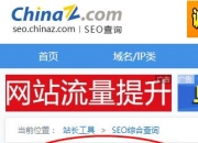 爱站网出事后，Chinaz站长网也要出事了？输入框代码错误！